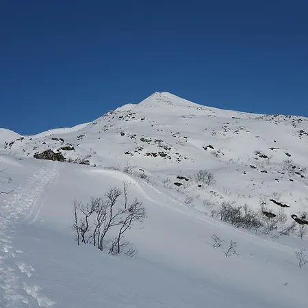 Bjornvika Holiday home Rebbenes