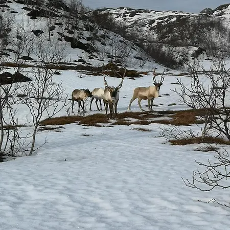 Holiday home Bjornvika Tromso